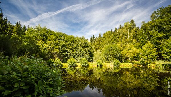 Лес покоя: парк в Германии для желающих слиться с природой после смерти