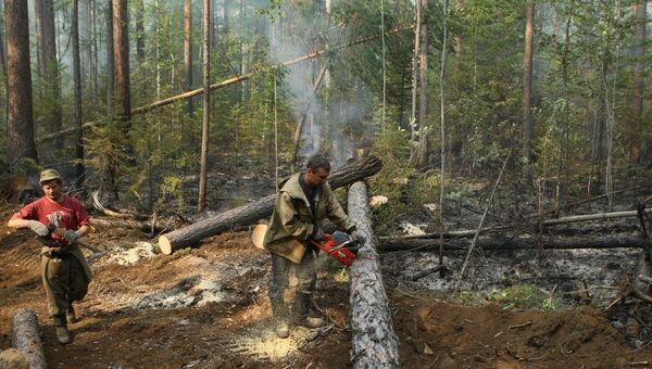 Все лесные пожары в Сибири потушены, сообщила лесоохрана