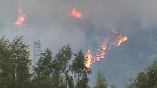 Национальный парк под Алма-Атой утонул в дыму от пожара 