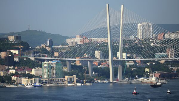 Мост через бухту Золотой Рог во Владивостоке. Архивное фото.
