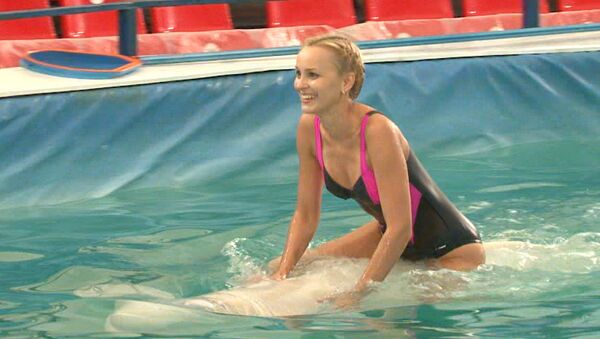 Дельфины-хореографы помогают актрисе мюзиклов стать русалочкой Ариэль  