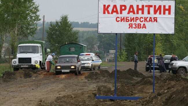 Вспышка сибирской язвы. Архивное фото