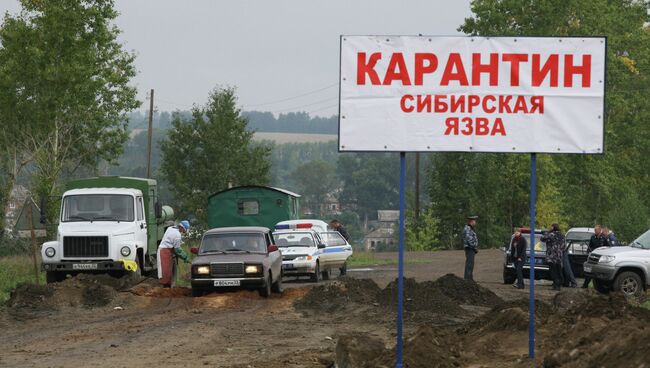 Вспышка сибирской язвы. Архивное фото