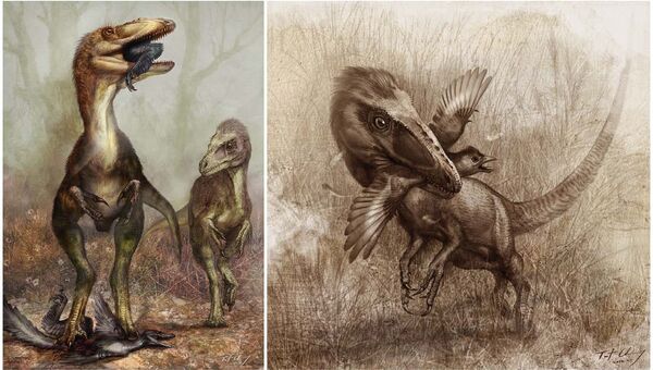 Пернатый ящер синокаллиоптерикс охотился на протоптиц конфуциусорнисов и мелких пернатых динозавров