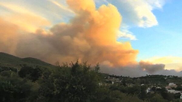 Огонь выжигает тысячи гектаров леса на юге Испании