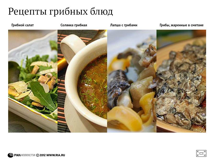 Рецепты грибных блюд