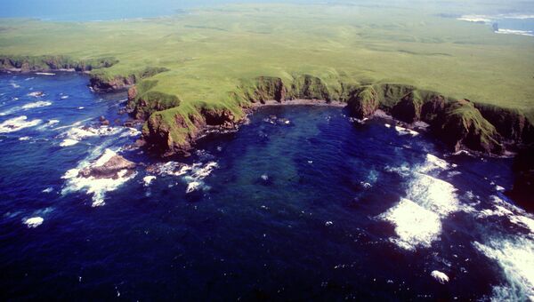 Остров Юрий из группы островов Хабомаи Малой Курильской гряды. Архивное фото