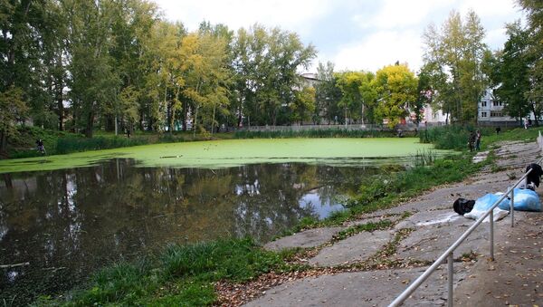 Молодежь Жигулевска очистила местное озеро от бутылок и тины