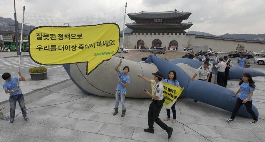 Гринпис протестует против китобойного промысла в южнокорейских водах
