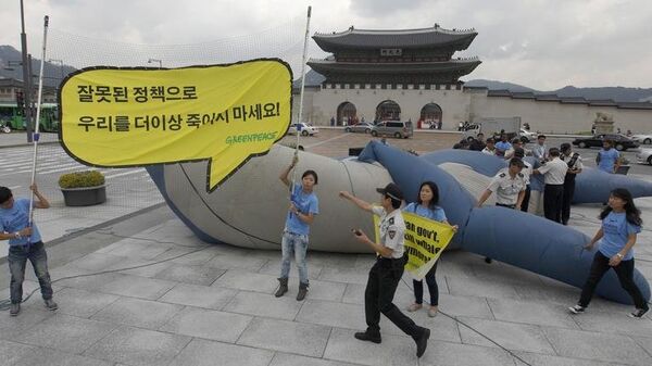 Гринпис протестует против китобойного промысла в южнокорейских водах