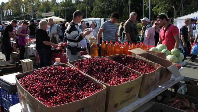 Самара ярмарка продукты овощи фрукты ягоды