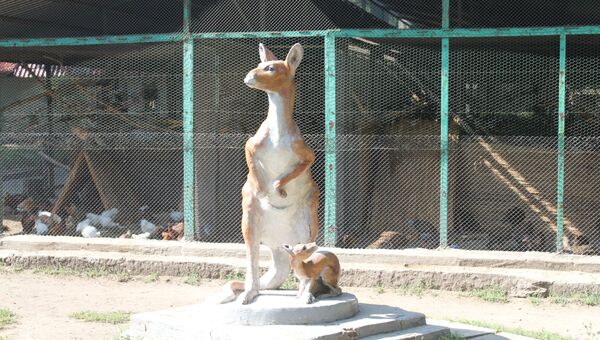 Туристы подарили одесситам кенгуру