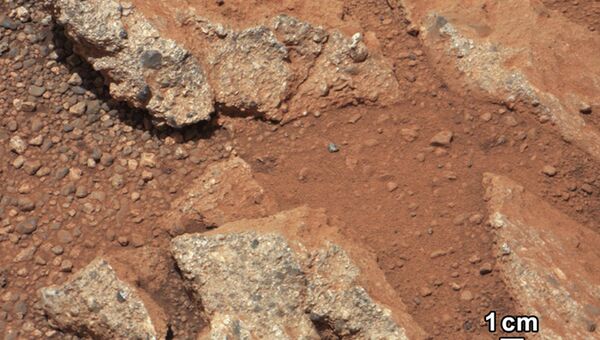 Камни - конгломераты, состоящие из сцементированного гравия со дна древнего марсианского ручья