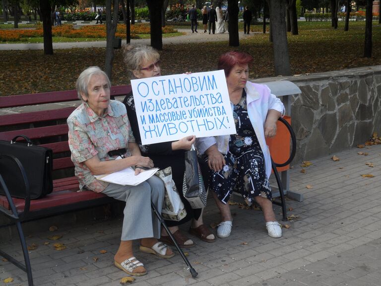 В Белгороде прошел пикет в защиту бездомных животных