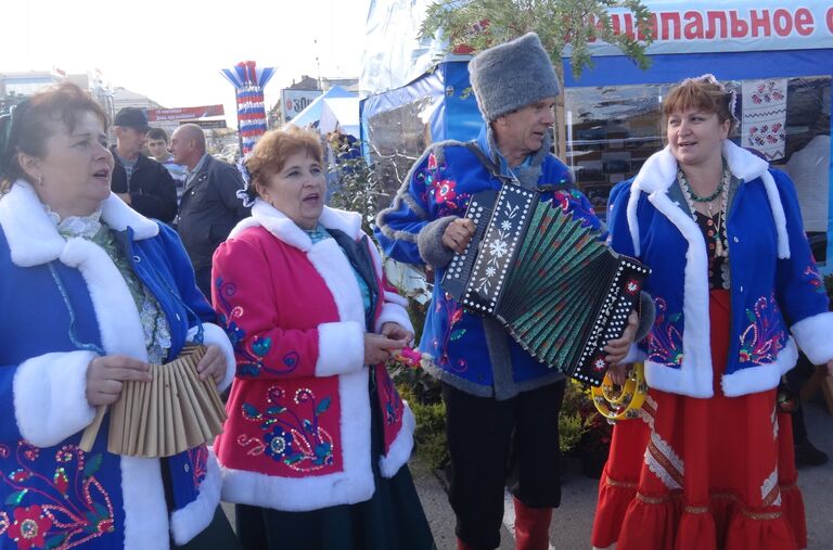 День Тульской области