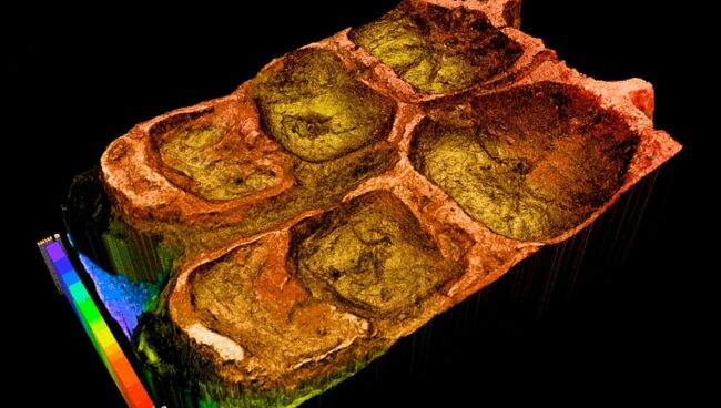 Компьютерная модель зубов эдмонтозавра Компьютерная модель зубов эдмонтозавра