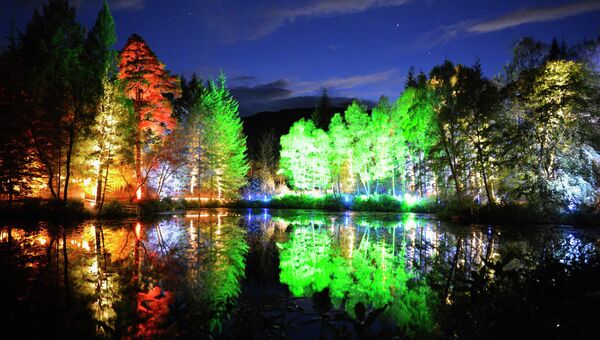 Деревья освещенные разноцветными огнями в Глазго, Шотландия
