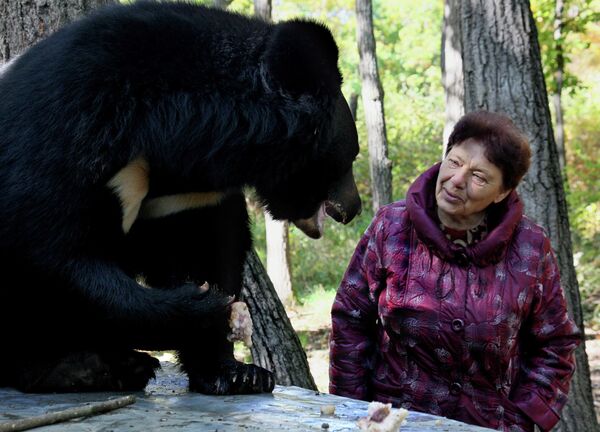 Семейная пара содержит 10 гималайских медведей в Приморском крае