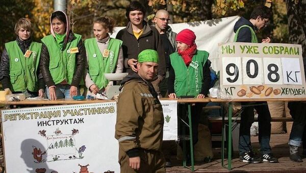 Сторонники Гринпис России собрали в воскресенье в московском парке Дубки почти две тонны желудей