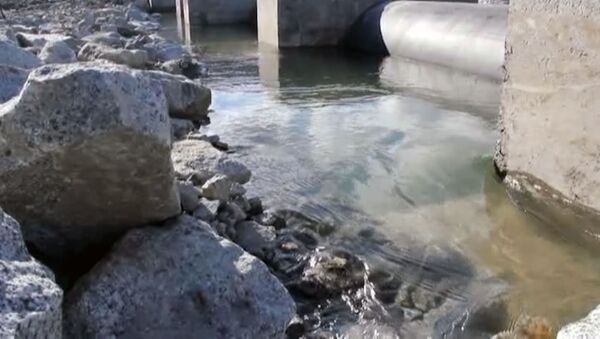 Вода хлынула из реки и стала наполнять искусственное озеро на Алтае