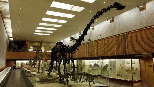 Экспозиция Палеонтологического музея в Москве