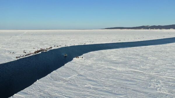 На Сахалине в Заливе Мордвинова с оторвавшейся льдины эвакуировали более 250 рыбаков из 600. 28 января 2020