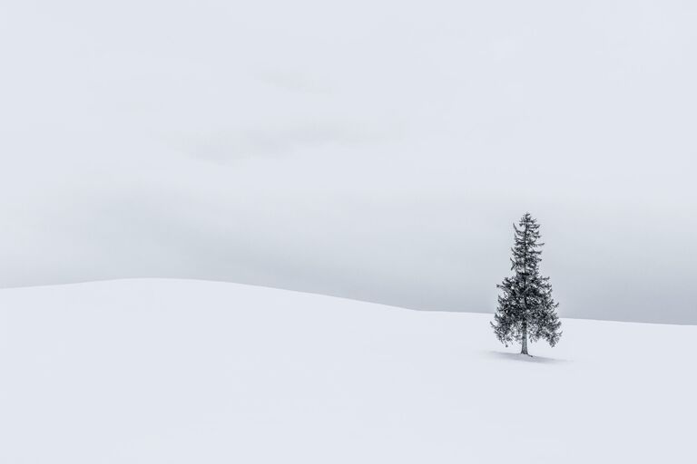 Anthony Lawrence. Работа победителя конкурса Photographer of the Year by Panasonic