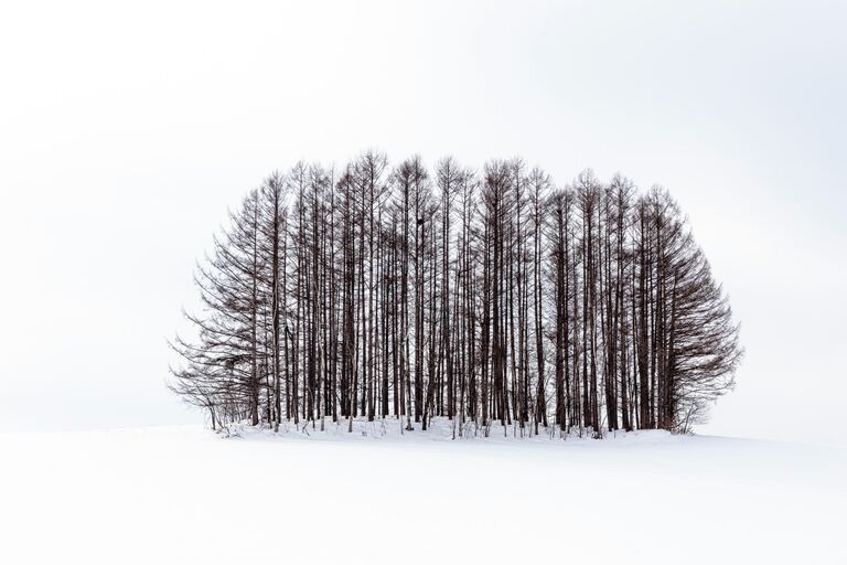 Anthony Lawrence. Работа победителя конкурса Photographer of the Year by Panasonic