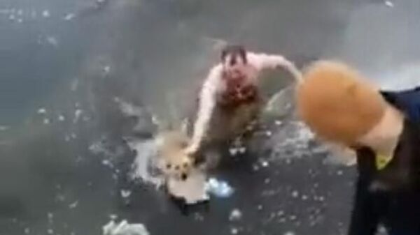 Житель Астрахани спас собаку из ледяной воды