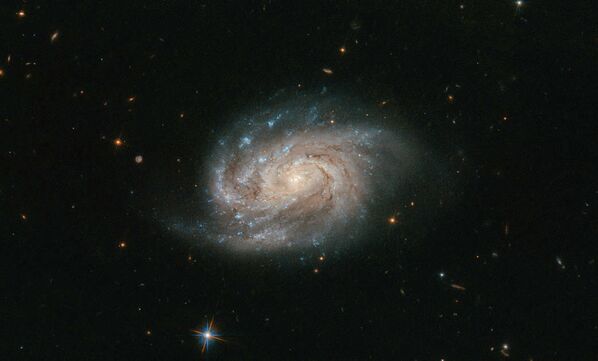 Галактика NGC 1803 в созвездии Живописец