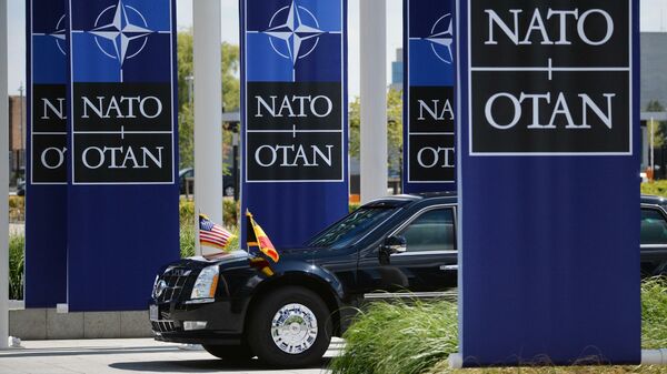 Без бумажки ты - НАТО, растущее на восток