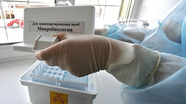 Тест-системы для диагностики нового коронавируса в Центре гигиены и эпидемиологии в Красноярском крае