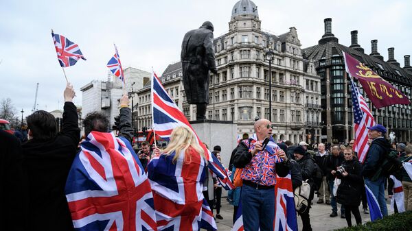 Сторонники Brexit на акции, посвященной выходу Великобритании из ЕС (Brexit Party) на площади Парламента в Лондоне