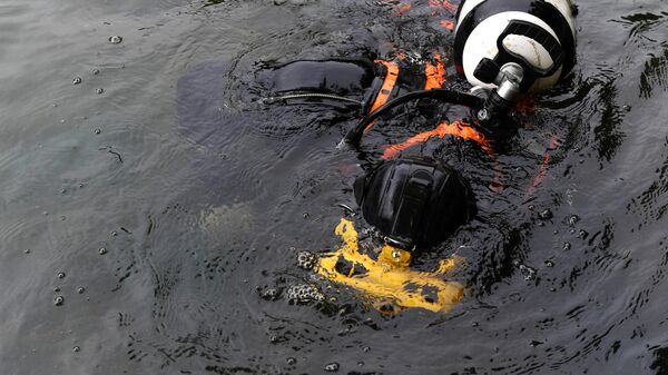 Водолаз погружается под воду для очистки Патриарших прудов в Москве