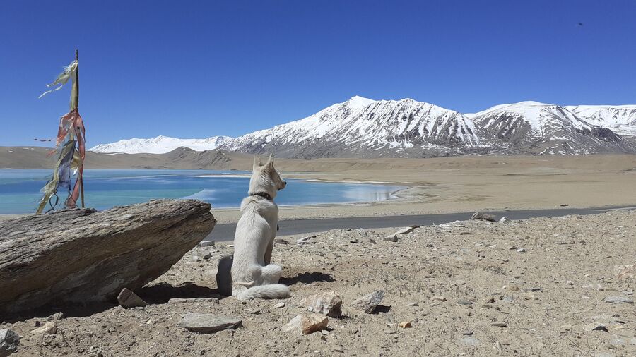 Индия. Цо-Морари, высокогорное озеро между Ладакхом и Тибетом