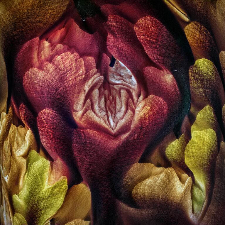 Ignacio Palacios. ТОП-101 конкурса The International Landscape Photographer of the Year 2019 Ignacio Palacios. ТОП-101 конкурса The International Landscape Photographer of the Year 2019