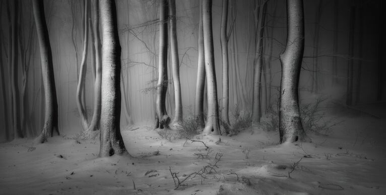 Veselin Atanasov. ТОП-101 конкурса The International Landscape Photographer of the Year 2019 Veselin Atanasov. ТОП-101 конкурса The International Landscape Photographer of the Year 2019