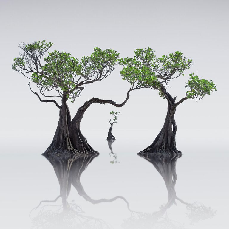 Wong Choon Keat. ТОП-101 конкурса The International Landscape Photographer of the Year 2019 Wong Choon Keat. ТОП-101 конкурса The International Landscape Photographer of the Year 2019