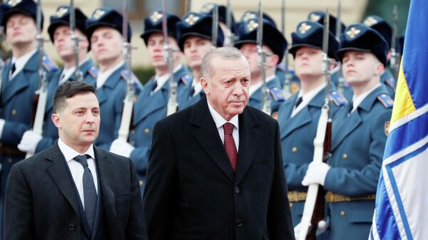 Президент Украины Владимир Зеленский и президент Турции Реджеп Тайип Эрдоган во время встречи в Киеве. 3 февраля 2020