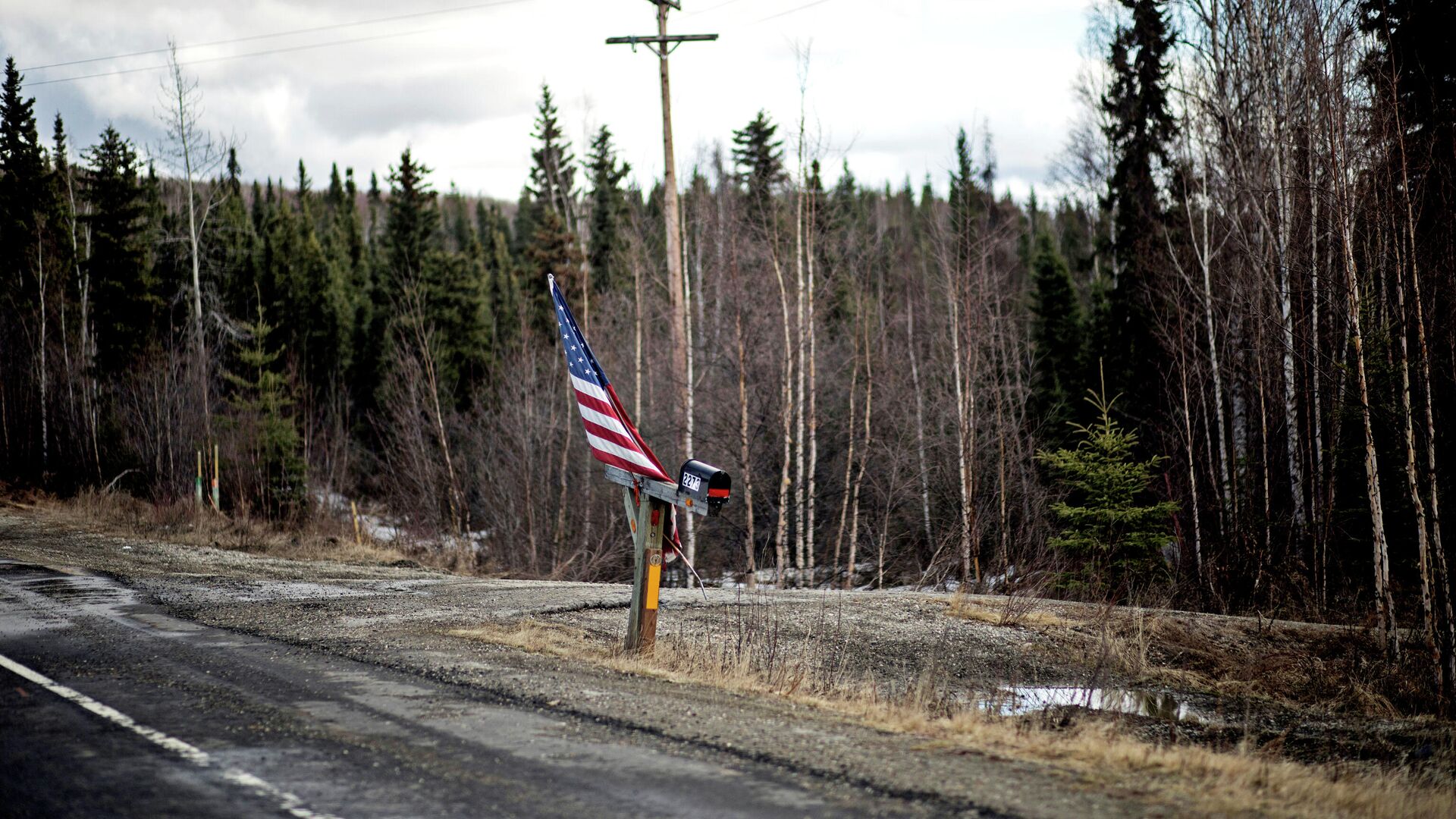Американский флаг рядом с почтовым ящиком на дороге в штате Аляска - РИА Новости, 1920, 23.01.2024