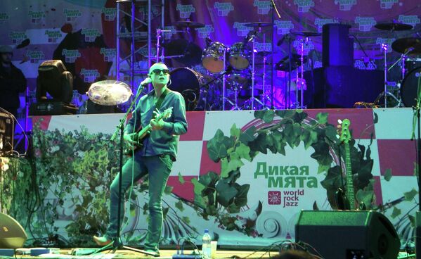 Певица Шинейд О’Коннор выступает на музыкальном фестивале Дикая мята