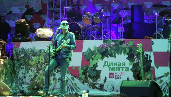 Певица Шинейд О’Коннор выступает на музыкальном фестивале Дикая мята