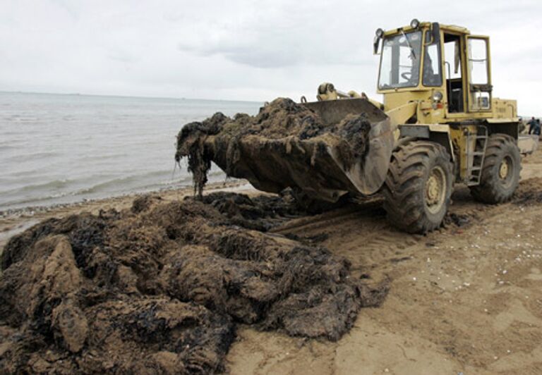 REUTERS/Alexander Natruskin 