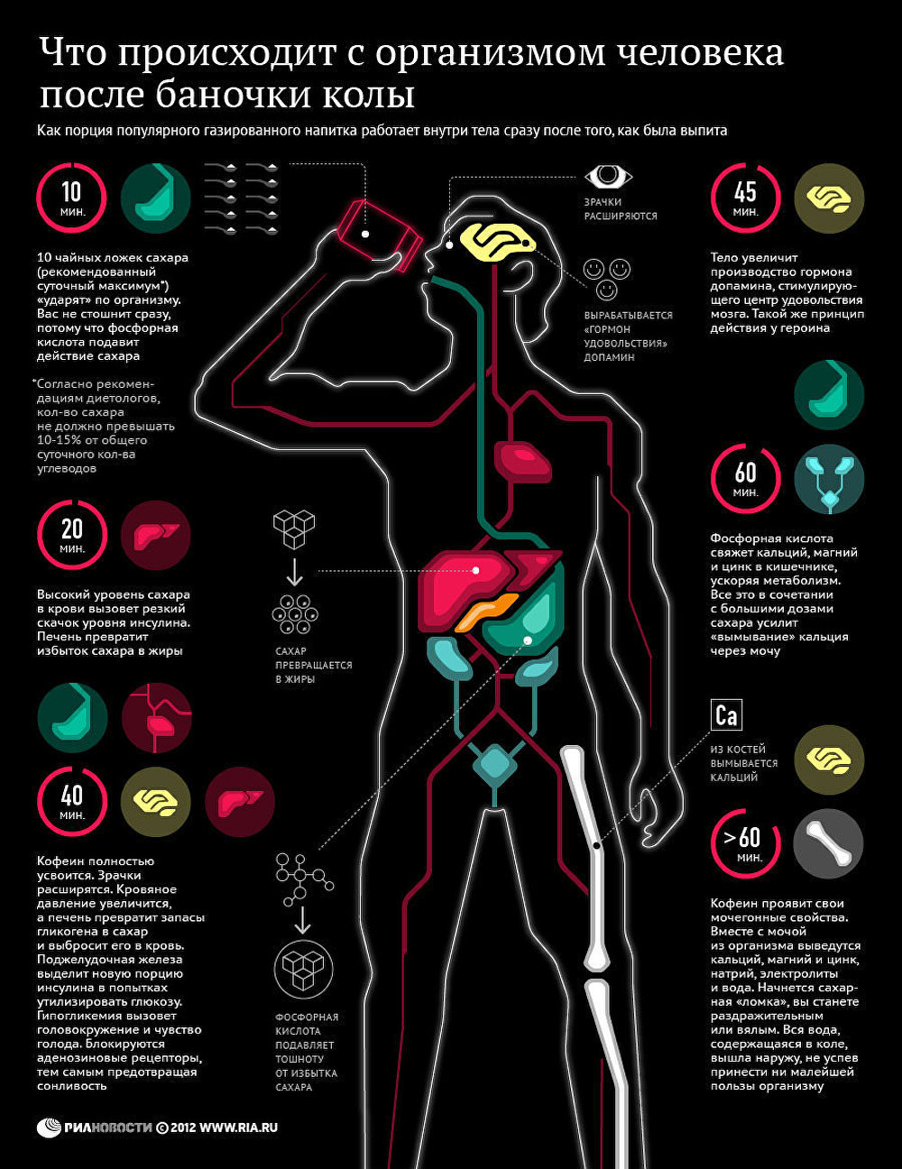Что происходит с организмом человека после баночки колы