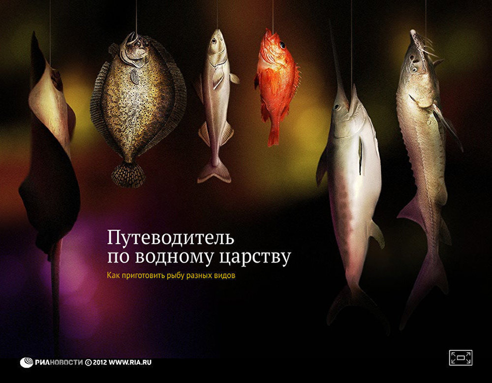Путеводитель по водному царству, или Как приготовить рыбу разных видов
