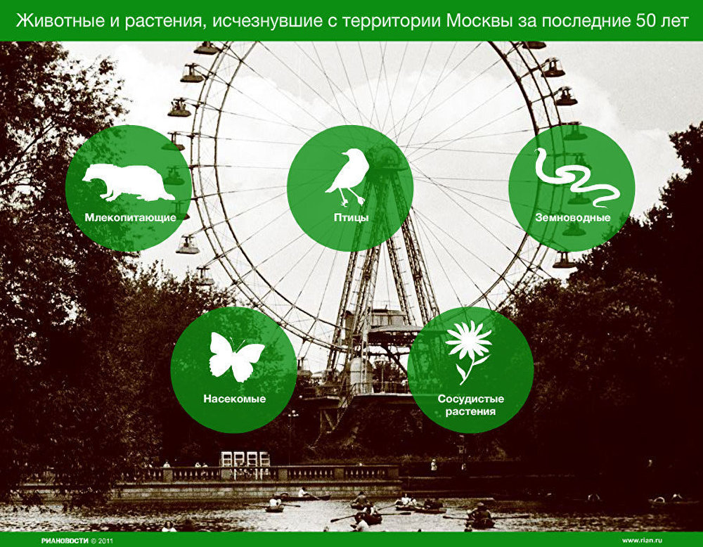Животные и растения, исчезнвушие с территории Москвы
