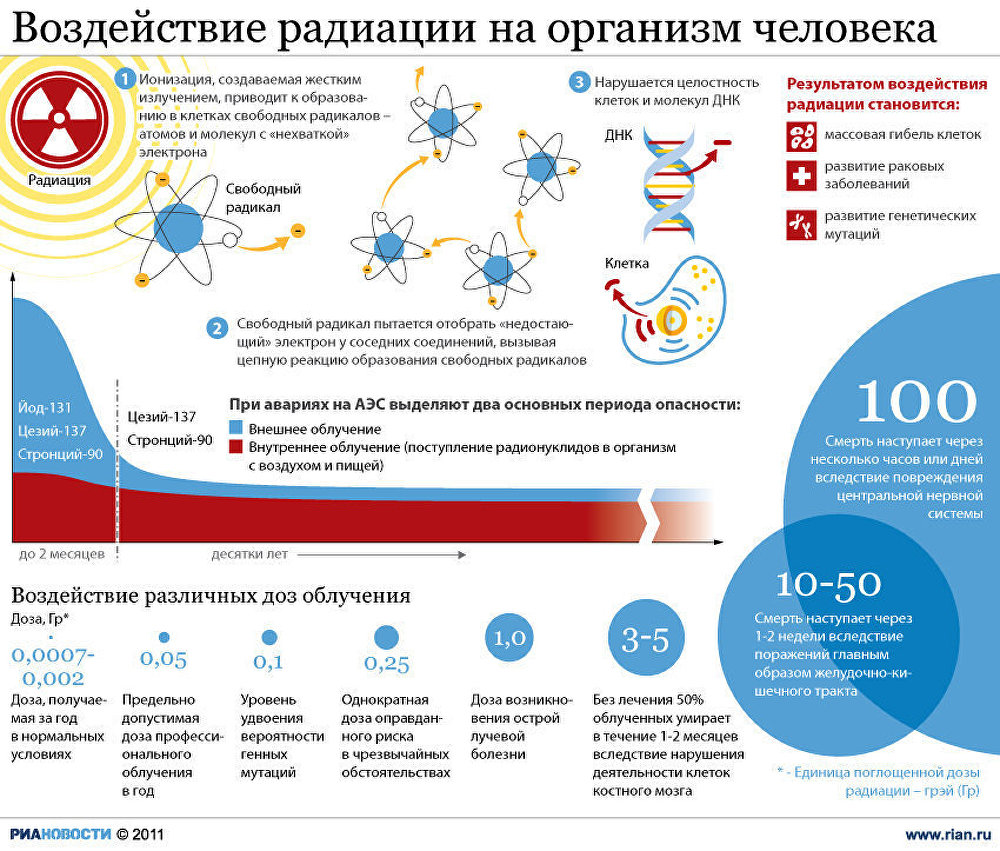 Реферат: Влияние радиации на организм человека, генетические последствия