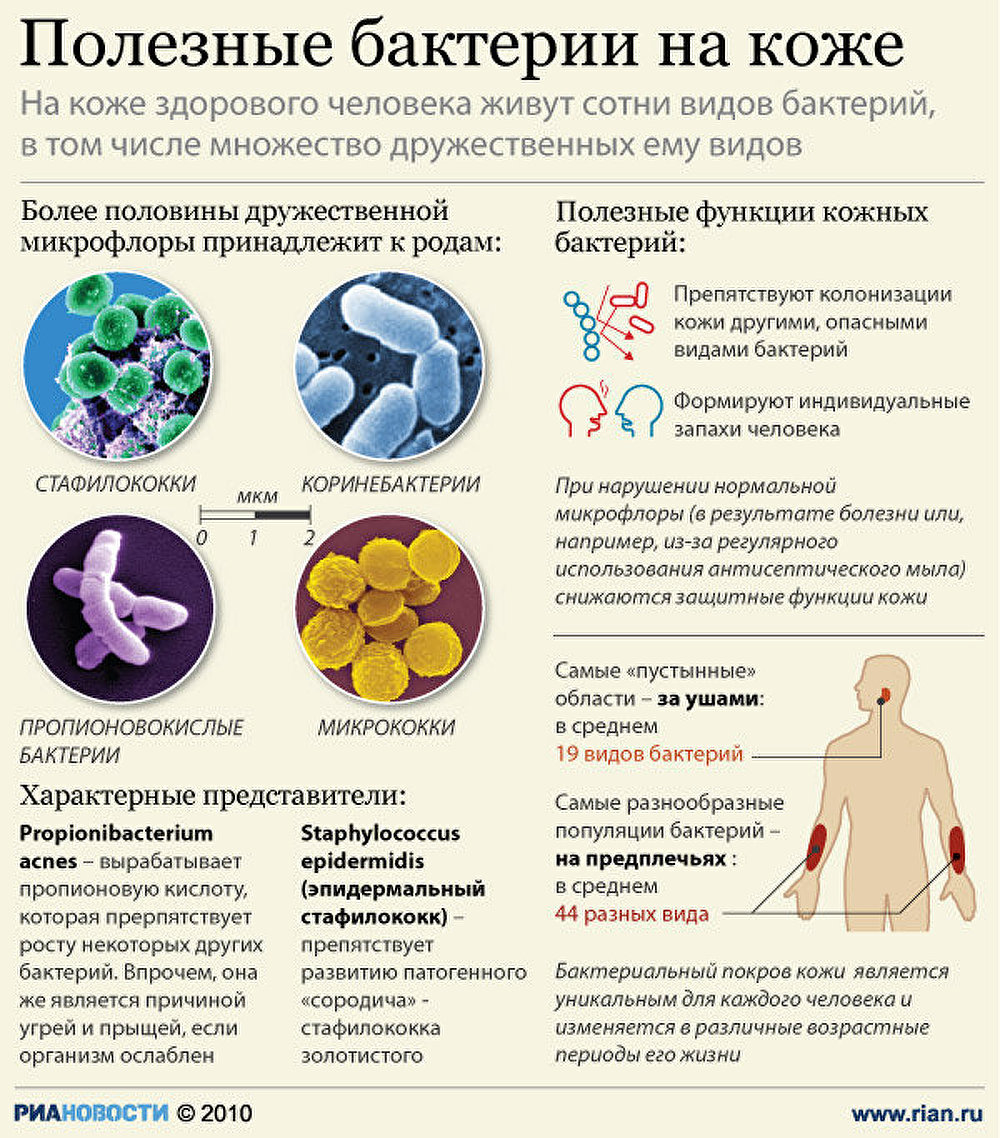 Полезные бактерии на коже человека - РИА Новости, 14.10.2011