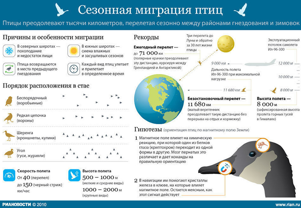 Карта миграции животных в россии