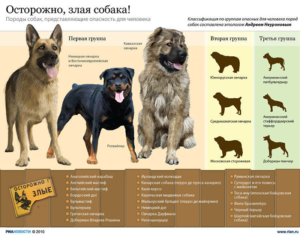 Опасные породы собак список